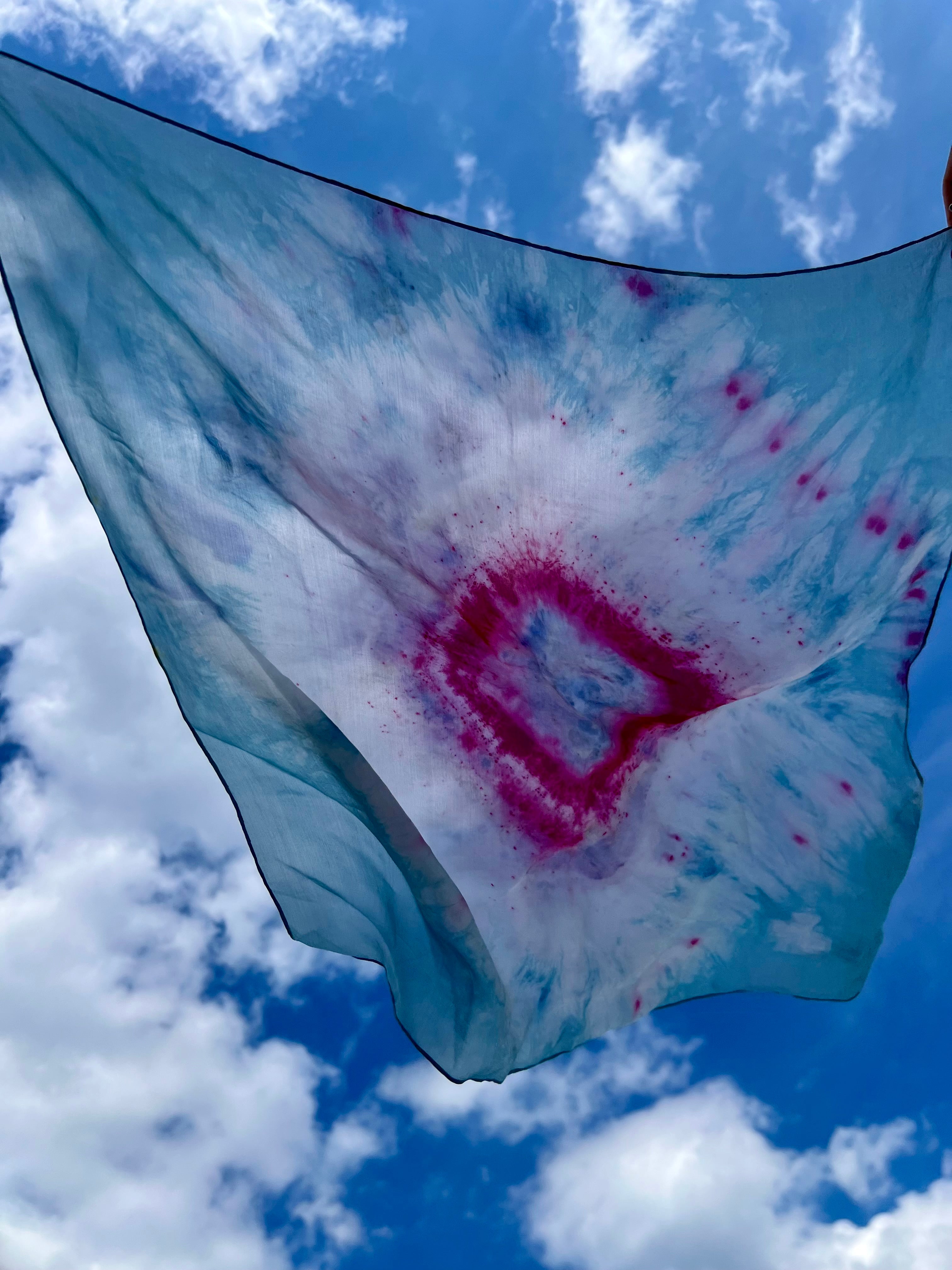 In Ceremony with Nature - Eine Initiation ins intuitive Färben mit Pflanzen